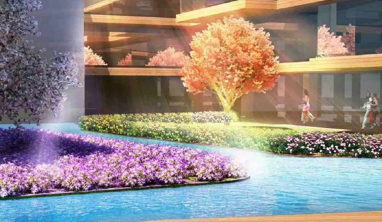 درختان زیبا پروژه زورلو سنتر