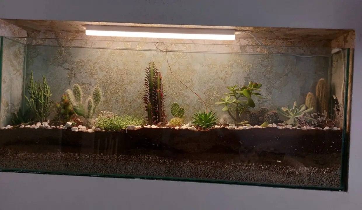 آکواریوم ملک اجاره ای سه خوابه