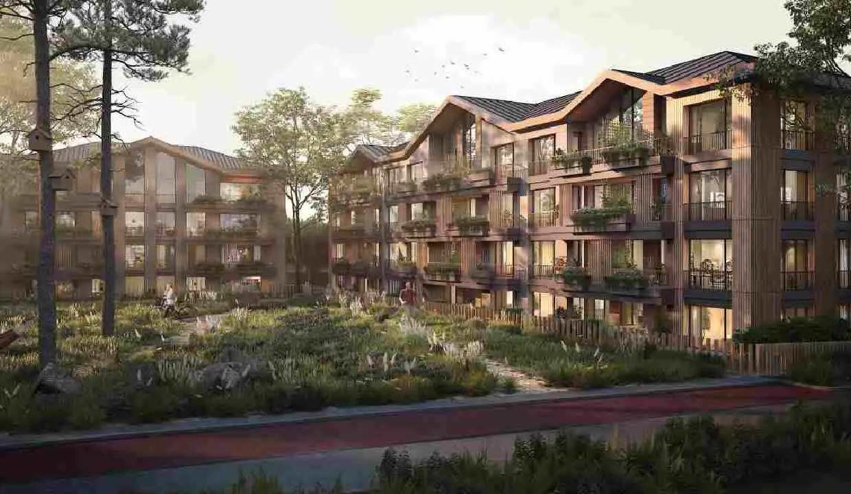 Nivak Florya (35)