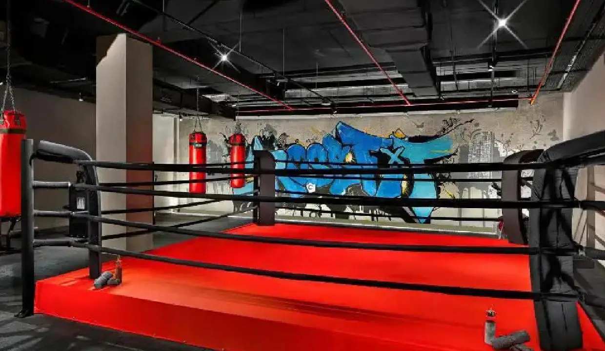 باشگاه پروژه وانداویستا